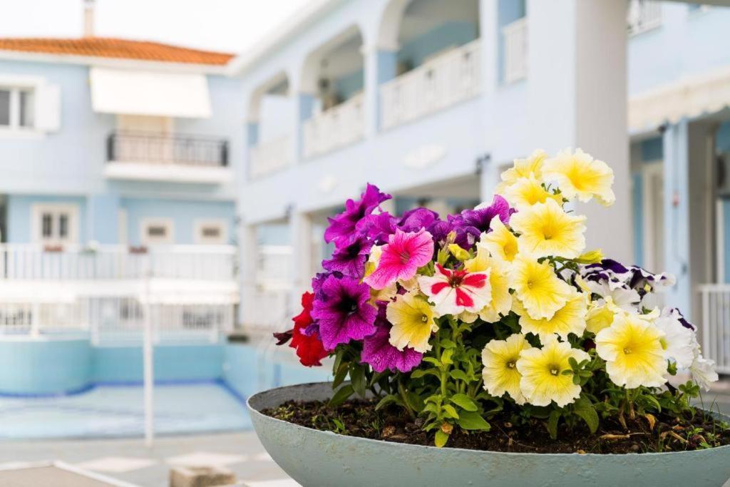 Anna'S Studios & Apartments Закинтос Экстерьер фото