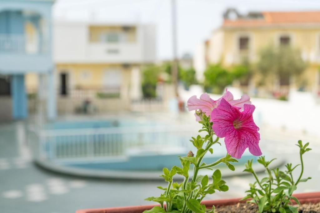 Anna'S Studios & Apartments Закинтос Экстерьер фото